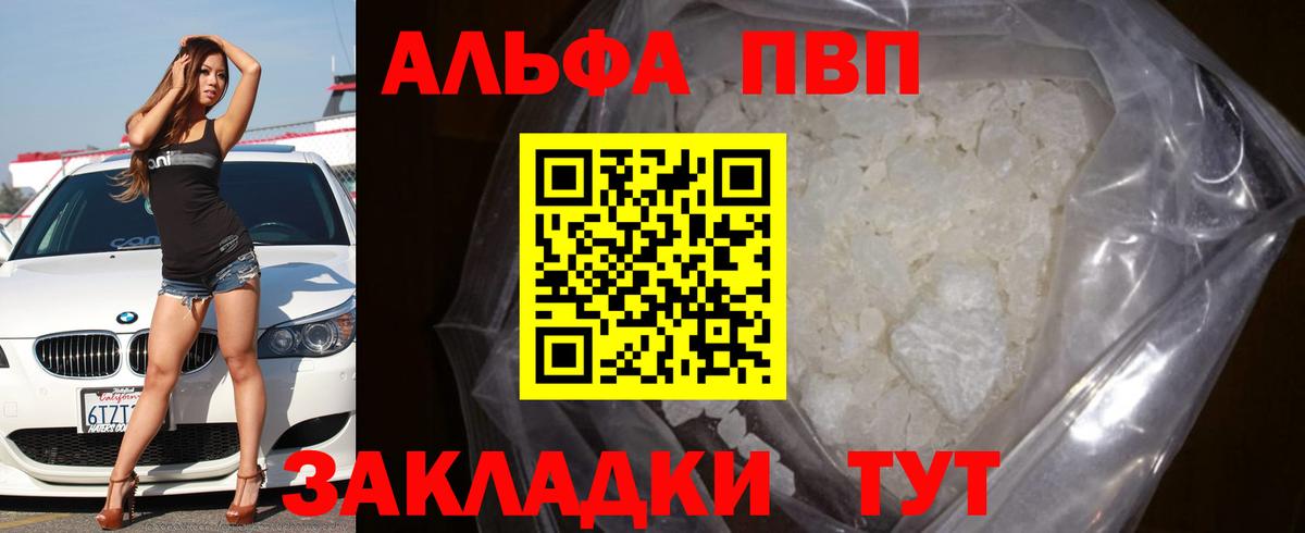 A-PVP СК Сосновый Бор