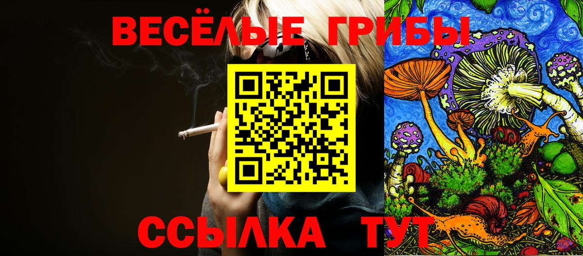 Сосновый Бор  Галлюциногенные грибы Cubensis  Вход с VPN 