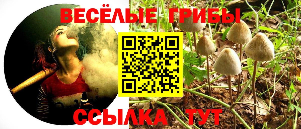 Псилоцибиновые грибы ЛСД Сосновый Бор