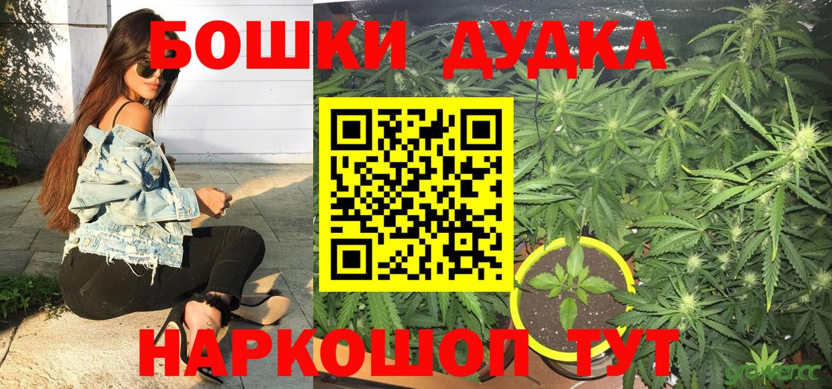 Конопля Bruce Banner  Бошки Шишки марихуана  Канабис планчик  Сосновый Бор  Вход с VPN 